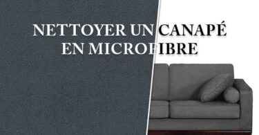 Comment Proteger Son Canape Des Griffes De Chat