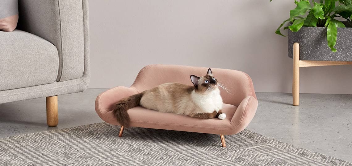 Canapé Pour Chat Doux Et Douillet - Housse Lavable, Structure Antidérapante - 50x40x20 Cm, Peluche